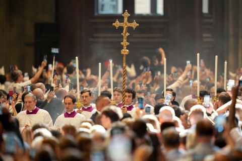 pallium
