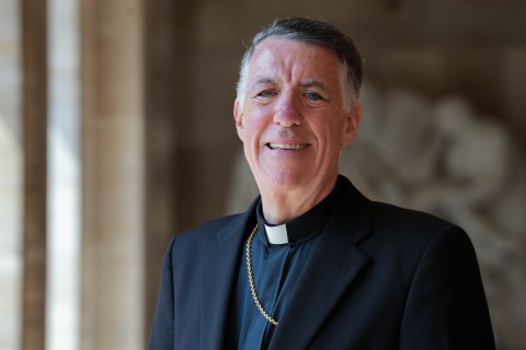 pallium checchio