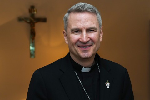 pallium hicks