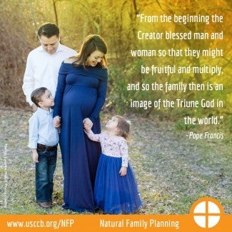 Pregnant mother and father look down at their young son and daughter