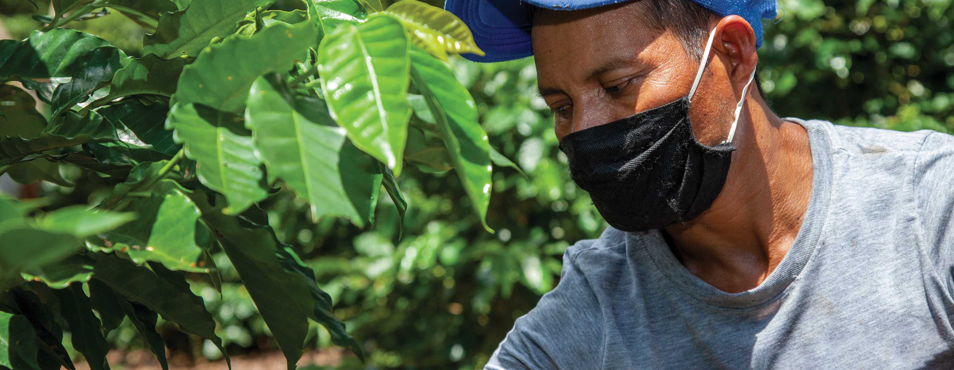 The Catholic Relief Services Collection USCCB