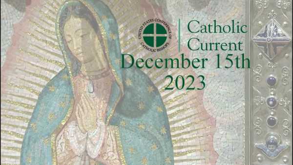 Catholic Current - This Week’s Catholic Current: Our Lady of Guadalupe; Poverty Awareness Month; Cultural Celebrations of Advent