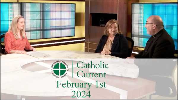 Catholic Current - This Week’s Catholic Current: The Vital Role of Catholic Education in the United States (February 1, 2024)