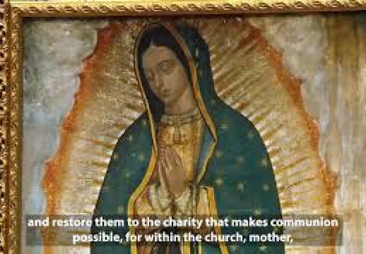 Pope Leo celebrates Guadalupe