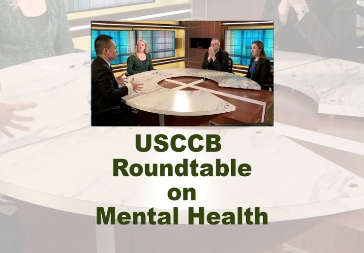 Mental Health Roundtable