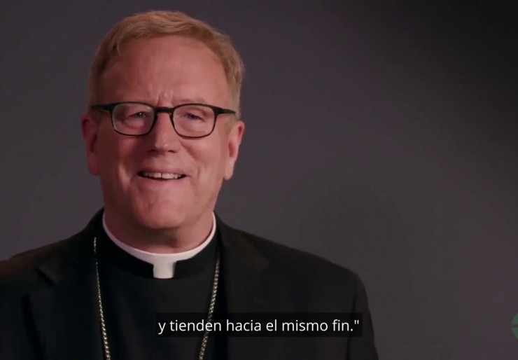 Dei Verbum: The Word of God with Bishop Robert Barron (2021)