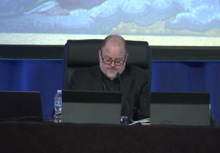 View Day 1 of Bishops’ Plenary (June 10, 2026) Part 1