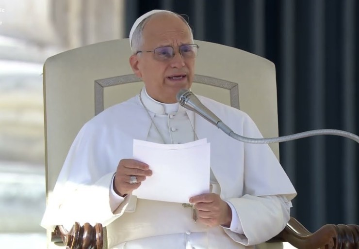 Pope Leo: May God free us from division!