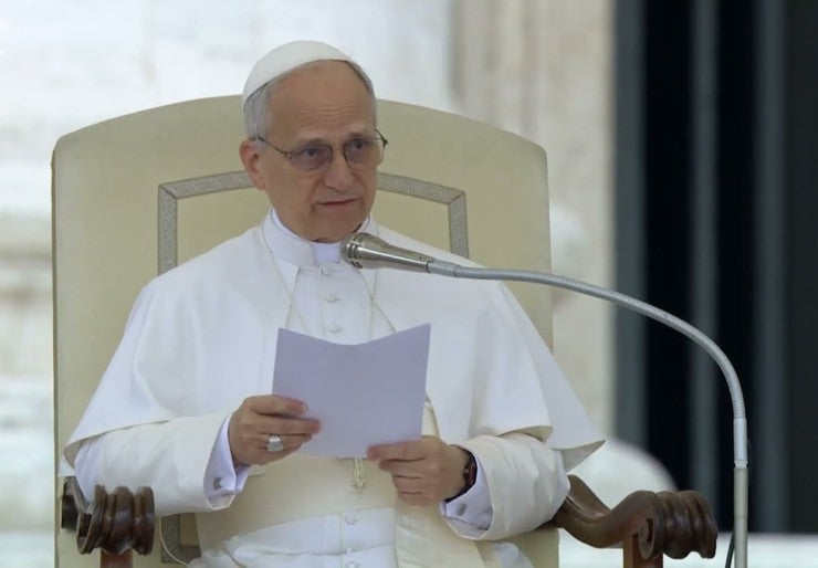 Pope Leo teaches in English at general audience