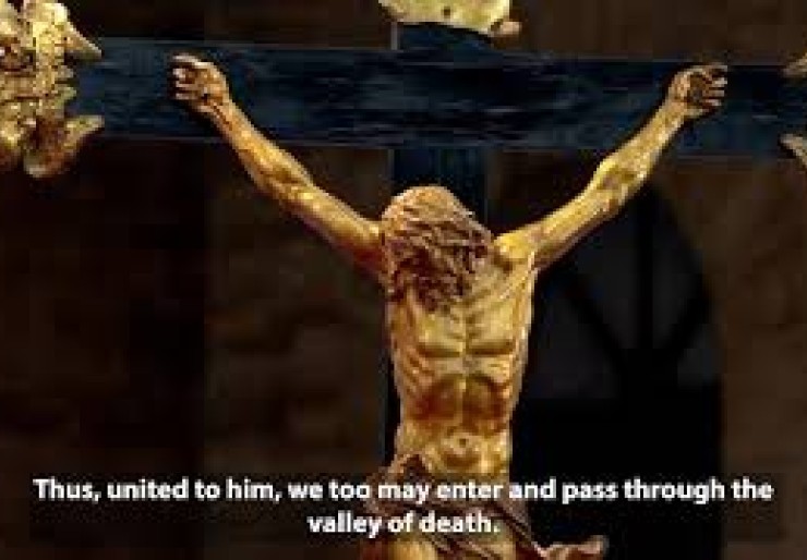 Pope Leo prays for the dead