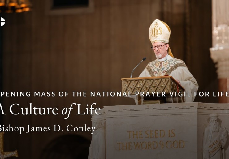 Opening Mass of the National Prayer Vigil for Life