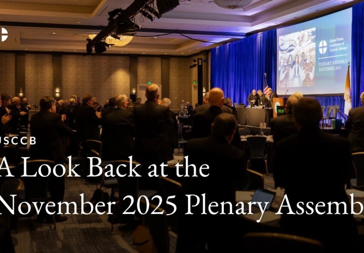 A Look Back at the November 2025 Plenary Assembly