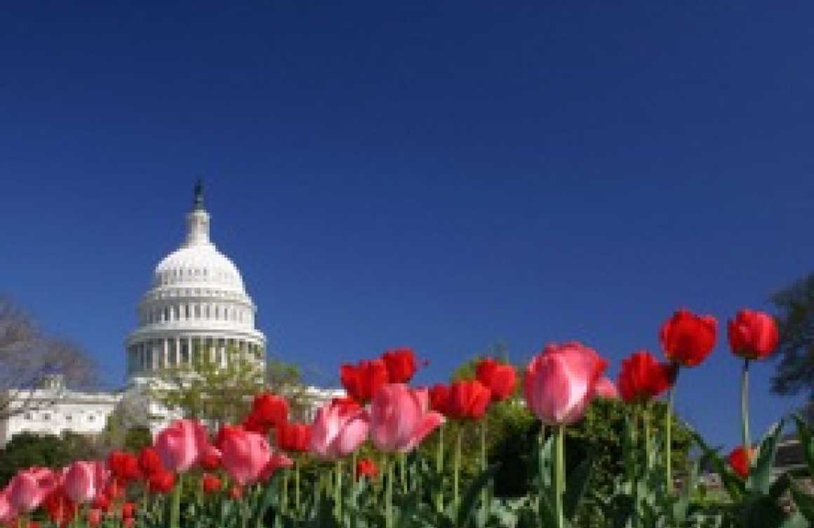 What Do We Love When We Love America? by Dr. Terrence Sweeney