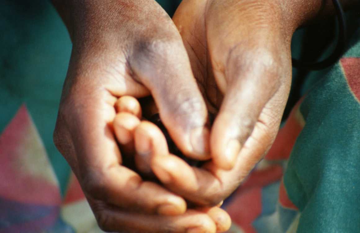 Diocese of Winona-Rochester Poverty Immersion