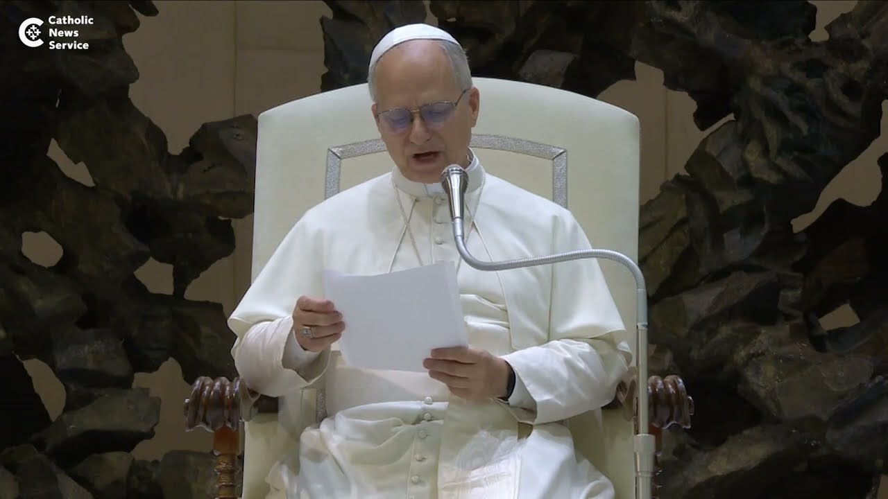 Pope Leo: Trust in God amid suffering
