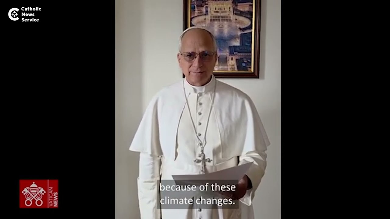 Pope Leo: "Creation is crying out"