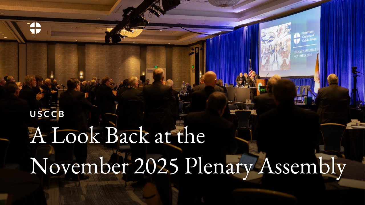 A Look Back at the November 2025 Plenary Assembly